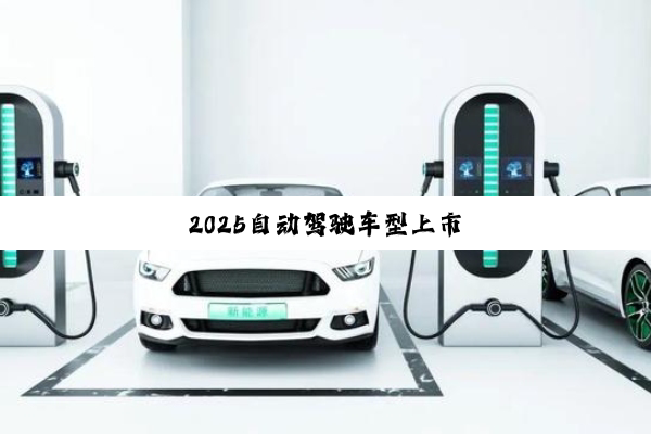 2025自动驾驶车型上市