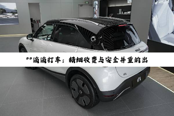 **滴滴打车:精细收费与安全并重的出行新纪元**