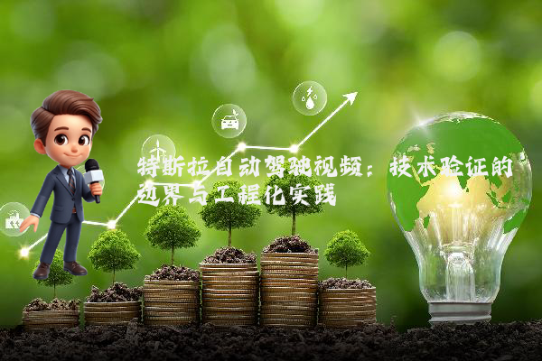 特斯拉自动驾驶视频:技术验证的边界与工程化实践