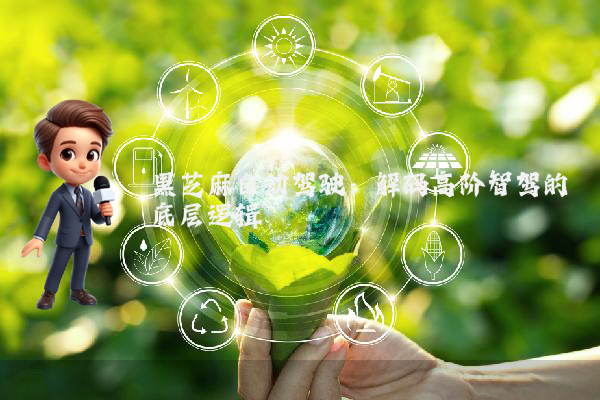 黑芝麻自动驾驶:解码高阶智驾的底层逻辑