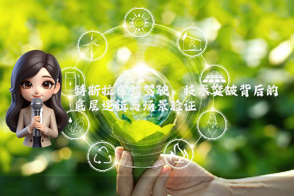 特斯拉自动驾驶：技术突破背后的底层逻辑与场景验证
