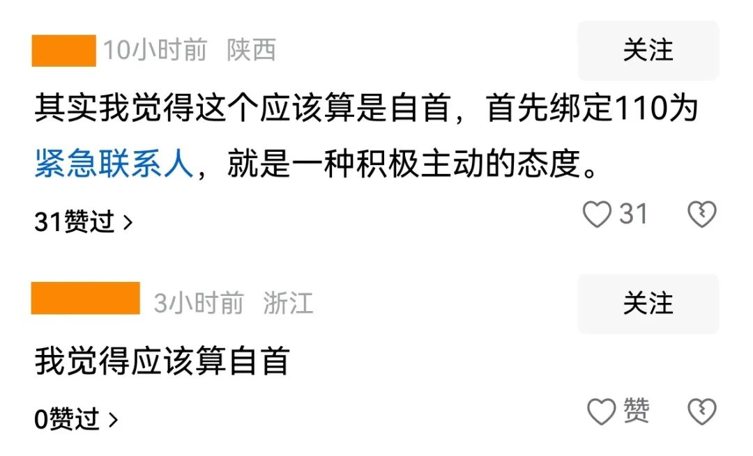 醉驾开自动驾驶,设110为紧急联系人辩称自首,没想到...【饮茶论道】