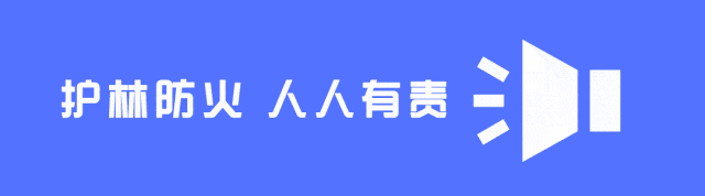 安全生产 | “智驾”非“自动驾驶” 驾驶时一定要提高警惕